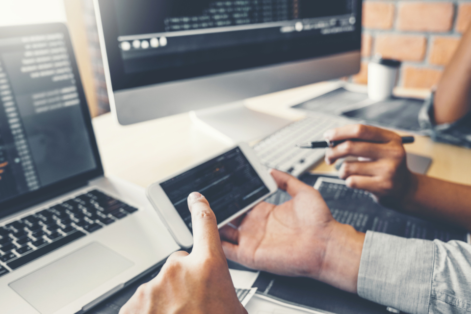 trygg projektledning inom webbutveckling